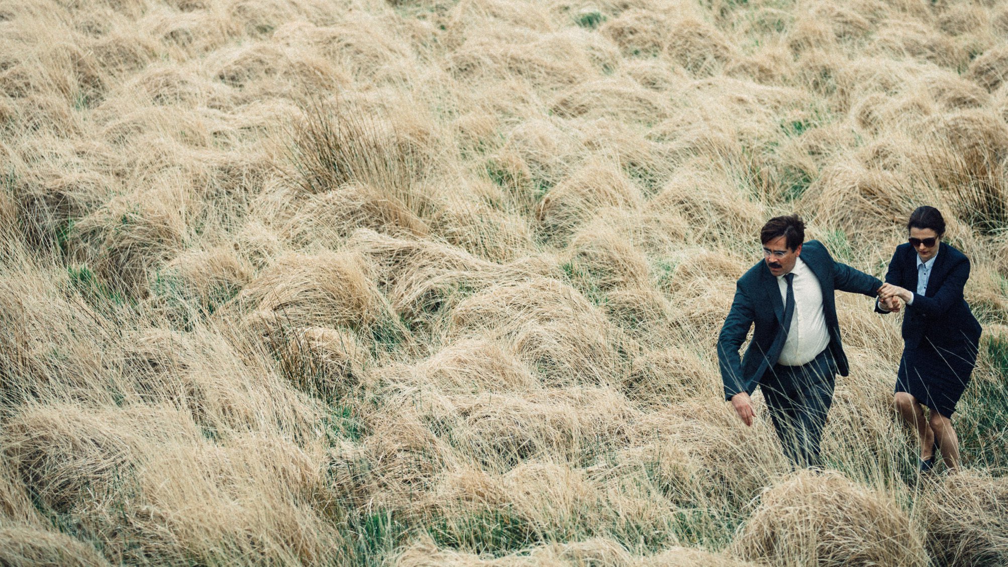 Image from the movie "The Lobster"