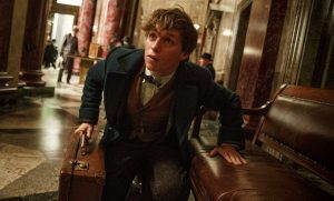fantastic beasts and where to find them eddie redmayne1 1
