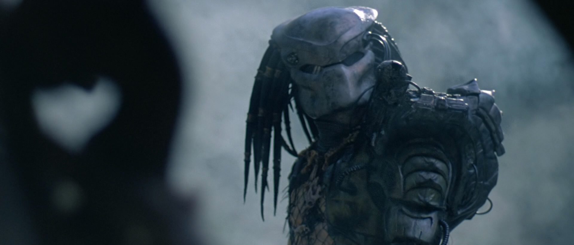 predator featured e1485055357488