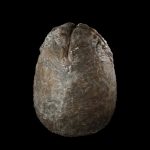 07 Screen Used Egg 1