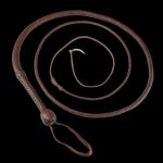 13 Indiana Jones Harrison Ford Bullwhip 2