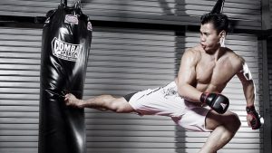 9 Cung Le