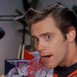 Ace Ventura Pet Detective 1