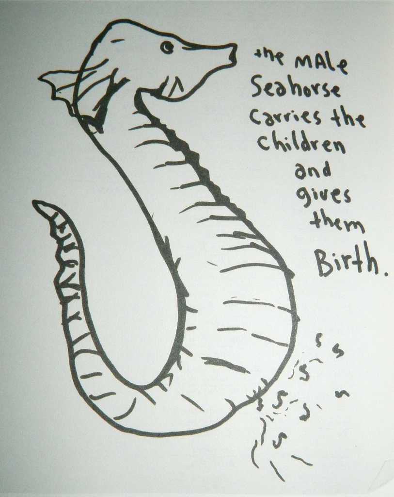 Sea Horses