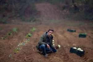 Il Vegetale Recensione