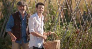 Il Vegetale Recensione