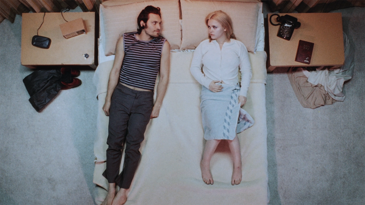 buffalo 66 3