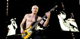 Flea