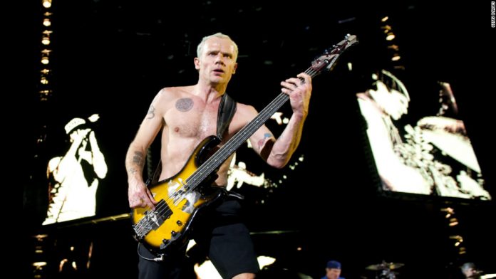 Flea