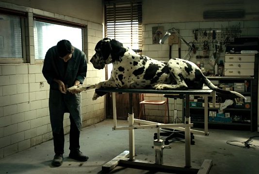 Dogman trailer