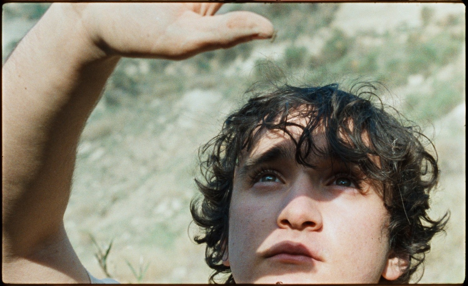 Lazzaro Felice Recensione