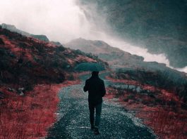 The Rain