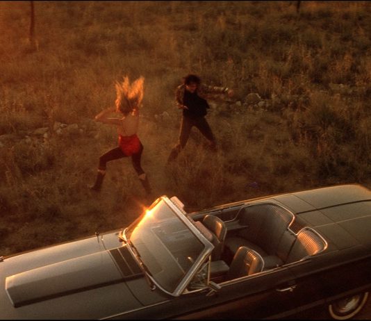 Wild at Heart