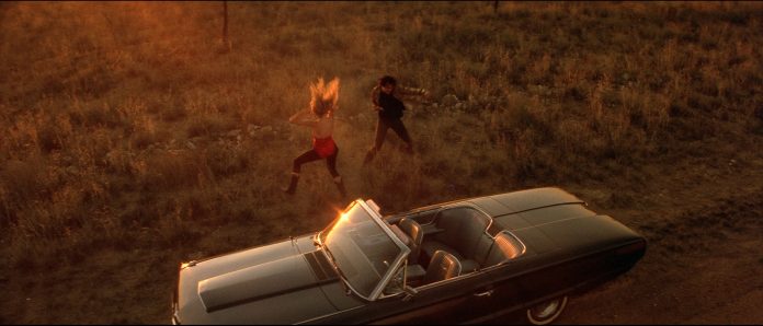 Wild at Heart