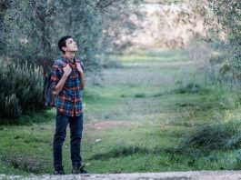 Dei Terlizzi Film Recensione
