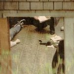 grunge