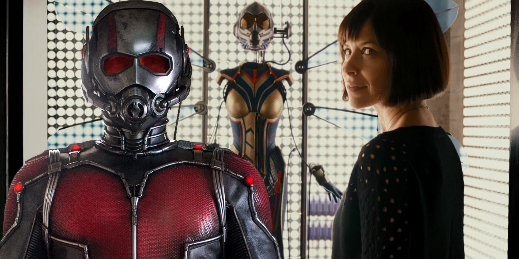 Ant Man The Wasp