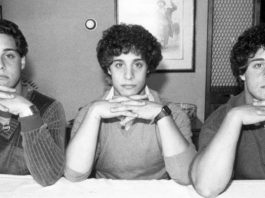 Three identical Strangers