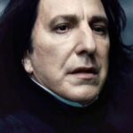 Half Blood Prince
