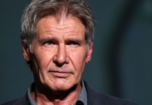 Harrison Ford, incidente, aereo