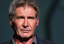 Harrison Ford, incidente, aereo