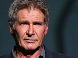 Harrison Ford, incidente, aereo