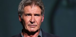 Harrison Ford, incidente, aereo