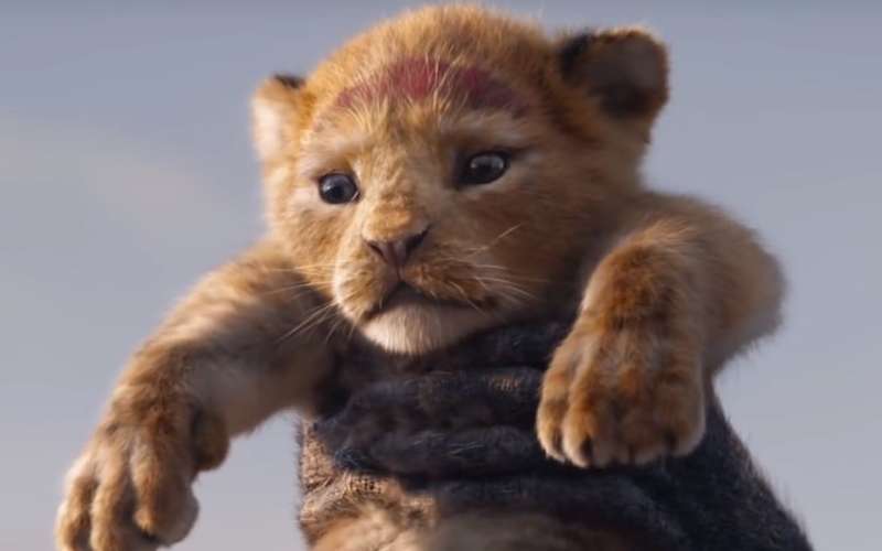 Simba in The Lion King 2019 Remake