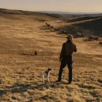 7 Film da vedere assolutamente su Netflix – Dicembre 2018