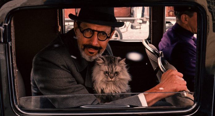 Wes Anderson odia davvero i gatti