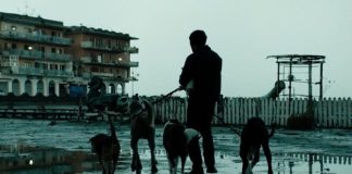 Dogman: gli Oscar respingono Garrone