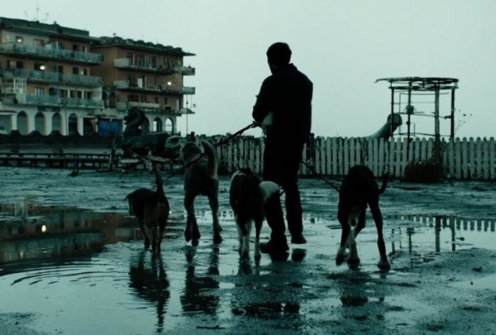 Dogman: gli Oscar respingono Garrone