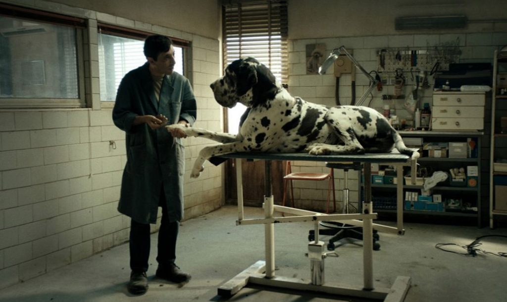 foto dogman 16 low 1030x615
