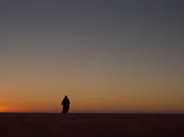migliore fotografia