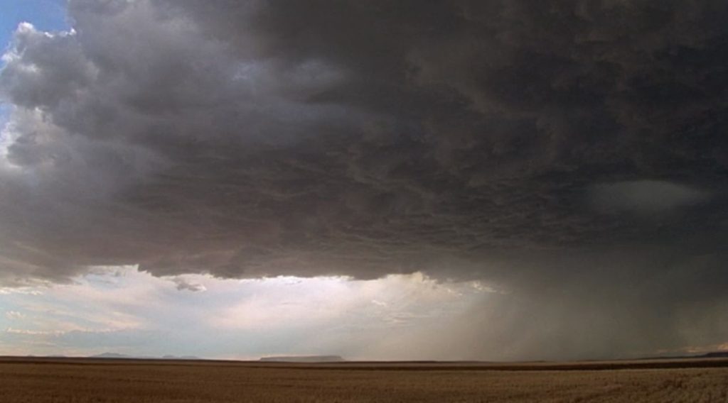terrence malick days of heaven cinematography