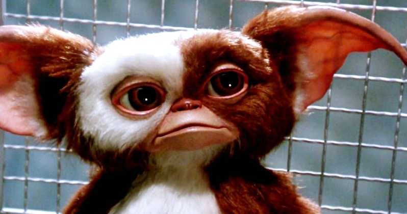 Gremlins 3 Script Rejected Timezone Rules