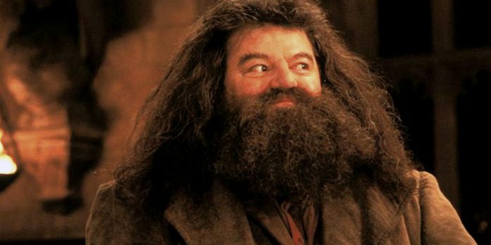 Robbie Coltrane nei panni di Hagrid in Harry Potter