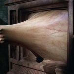 5 film da vedere prima di morire