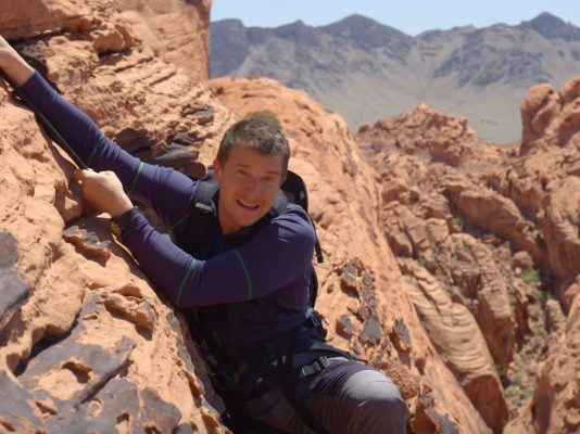 You vs Wild