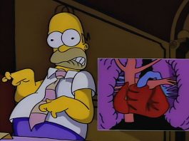 I 20 episodi più belli dei Simpson