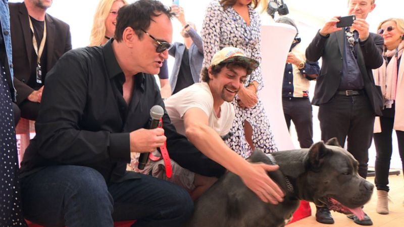 Once Upon a Time in Hollywood vince il Palm Dog