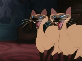 Lilli e il Vagabondo