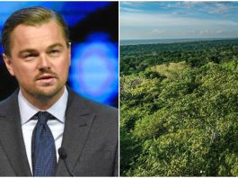 DiCaprio