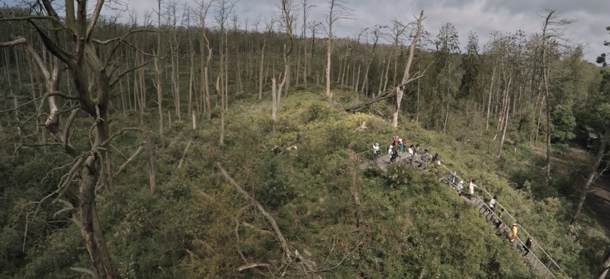 Documentari naturalistici