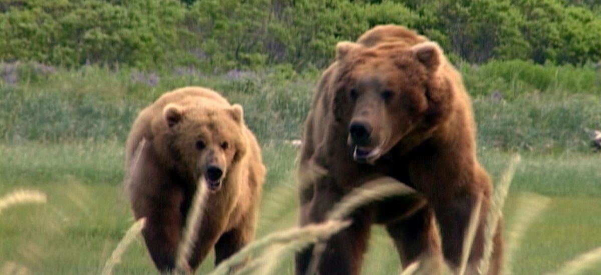 Documentari naturalistici