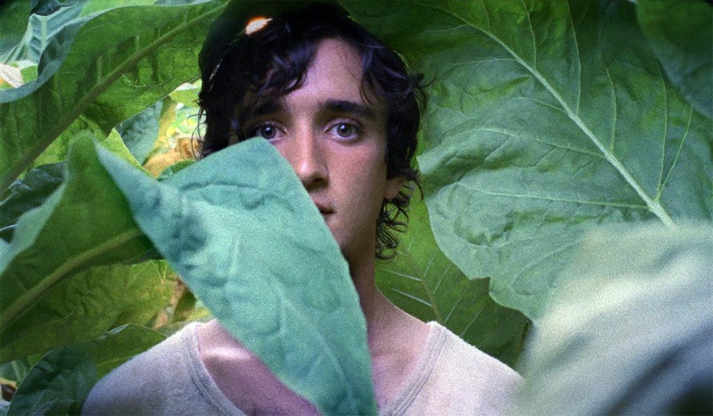 LAZZARO FELICE Alice ROHRWACHER
