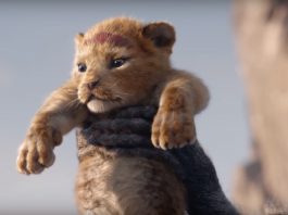 Il Re Leone