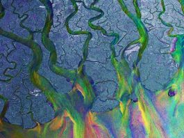 Alt-J