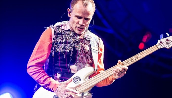 Flea