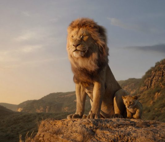 box office italia